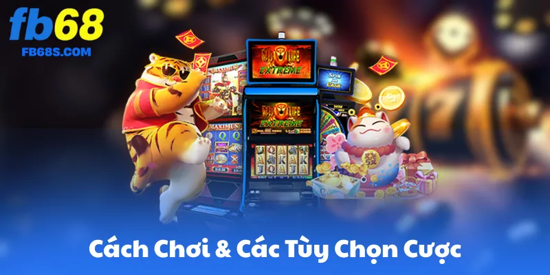 Cách Chơi & Các Tùy Chọn Cược